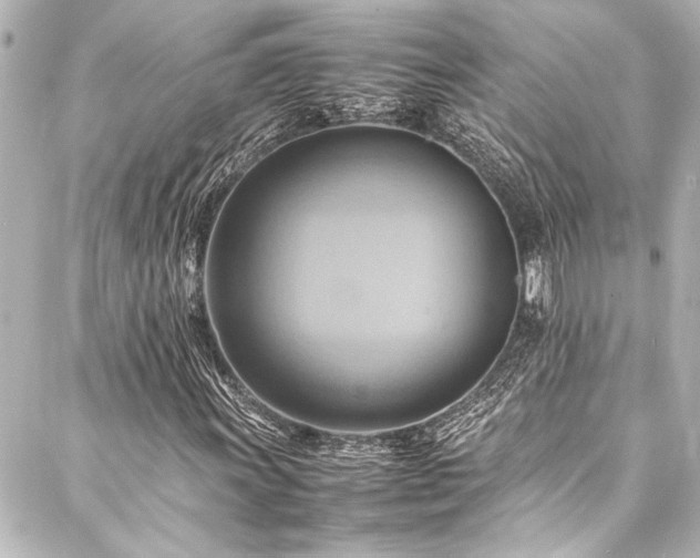 X0000088211011200705151337
