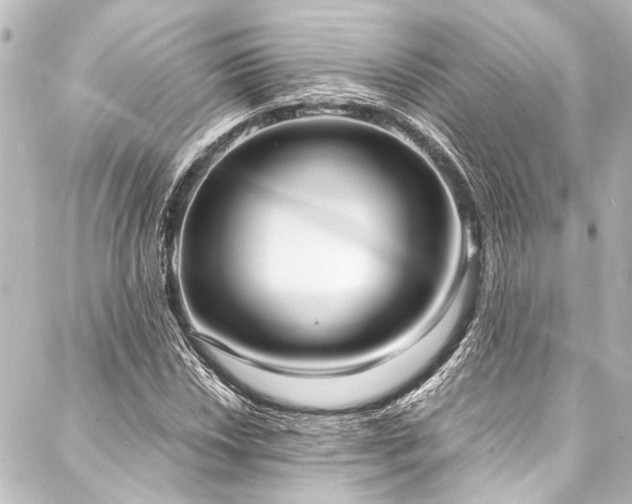 X0000088211018200705151337