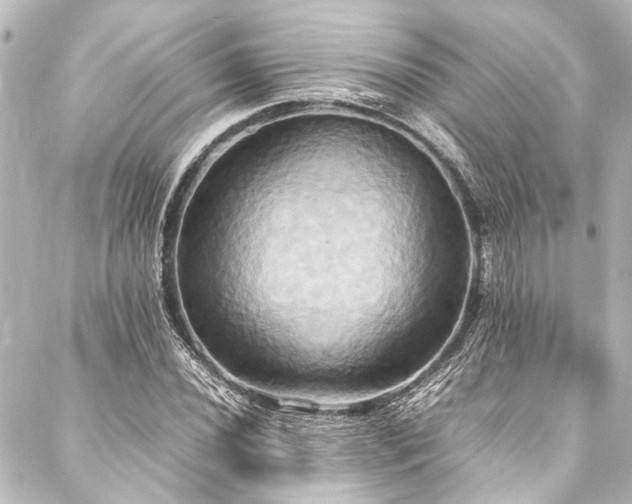 X0000088211020200705151337