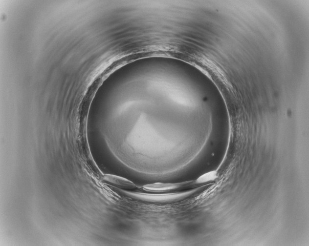 X0000088211023200705151337