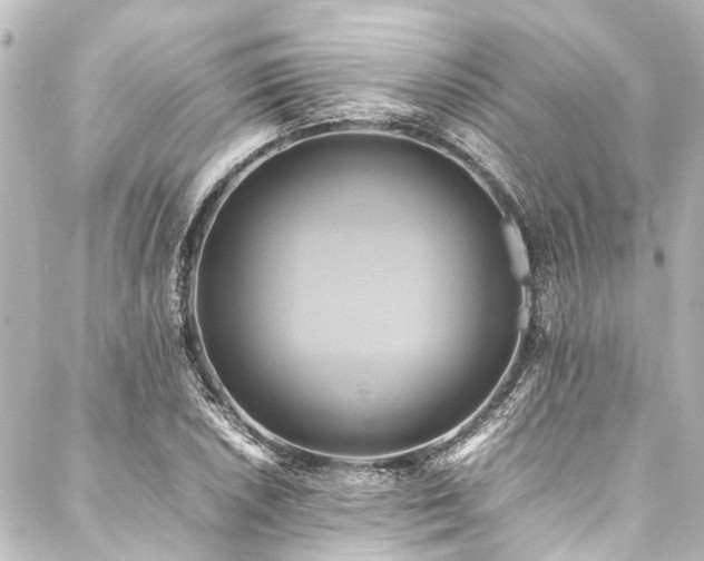 X0000088211026200705151337