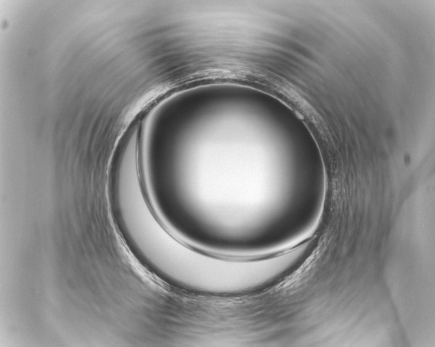 X0000088211034200705151337