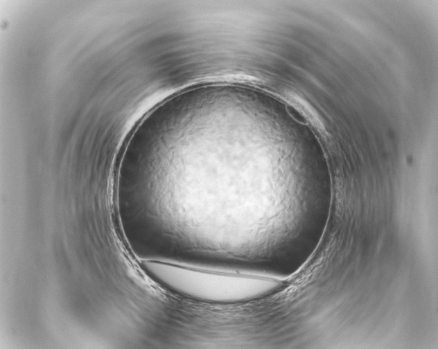 X0000088211044200705151337