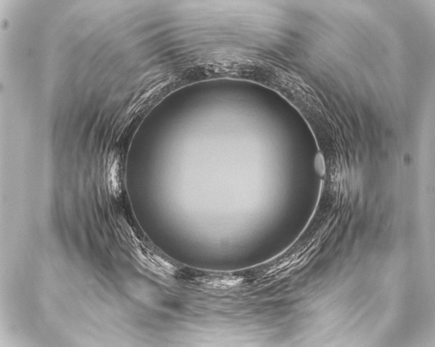 X0000088211060200705151337