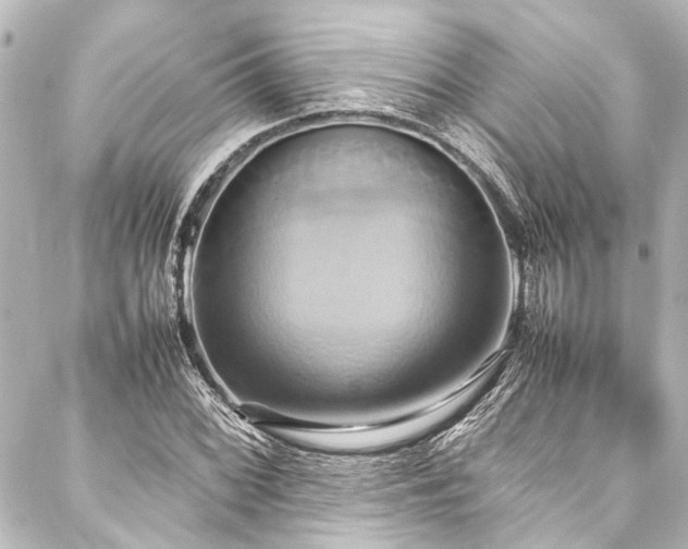 X0000088211068200705151337