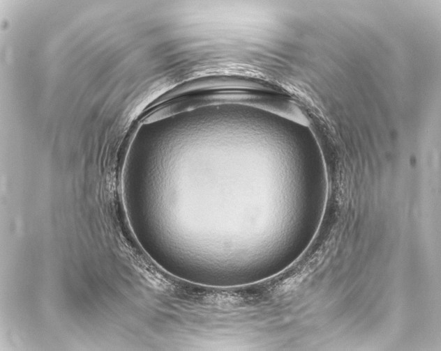 X0000088211073200705151337