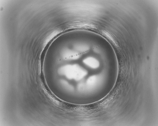 X0000088211079200705151337