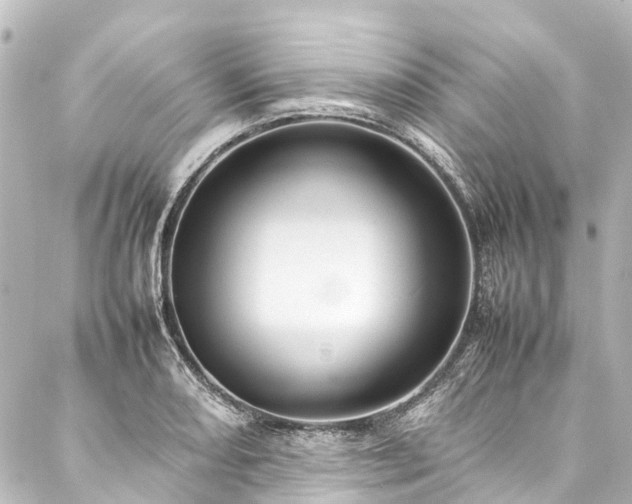 X0000088211082200705151336