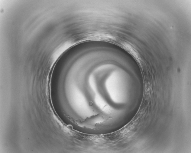 X0000088211103200705151336