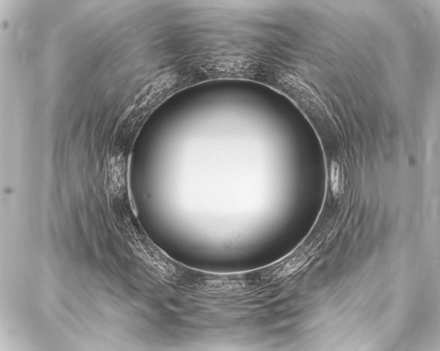 X0000088211107200705151335