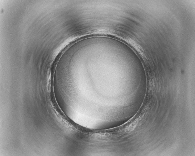 X0000088211126200705151336