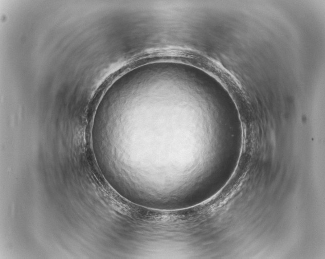 X0000088211166200705151335