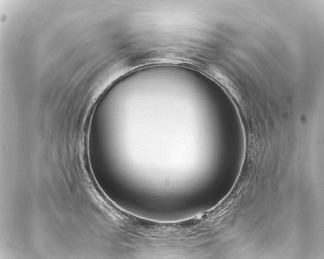 X0000088211187200705151335