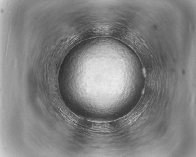 X0000088211201200705151334