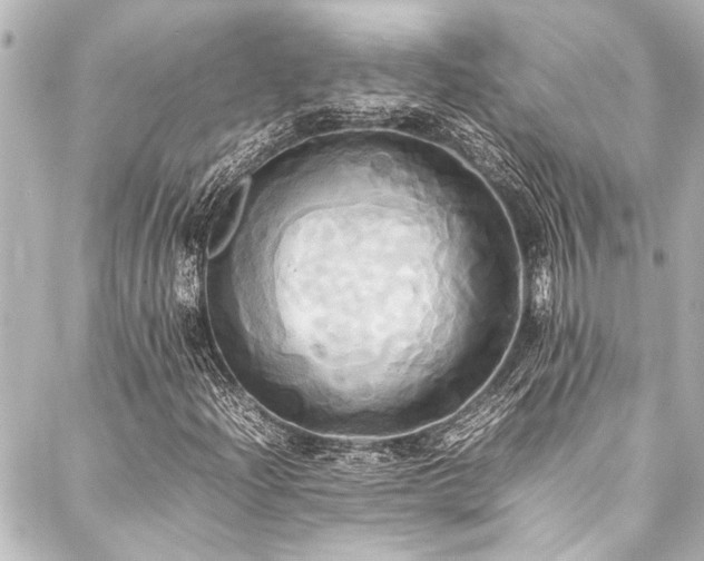 X0000088211204200705151334