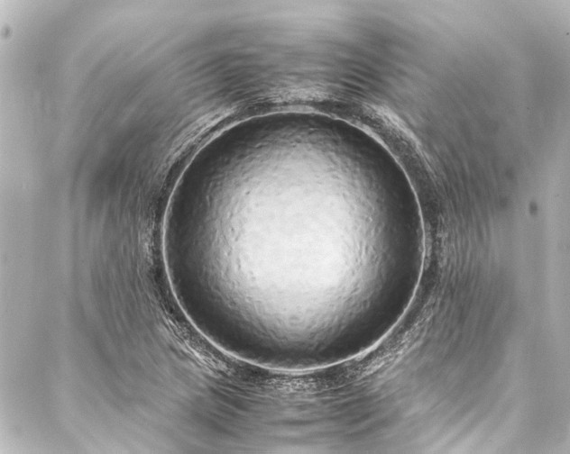 X0000088211217200705151334