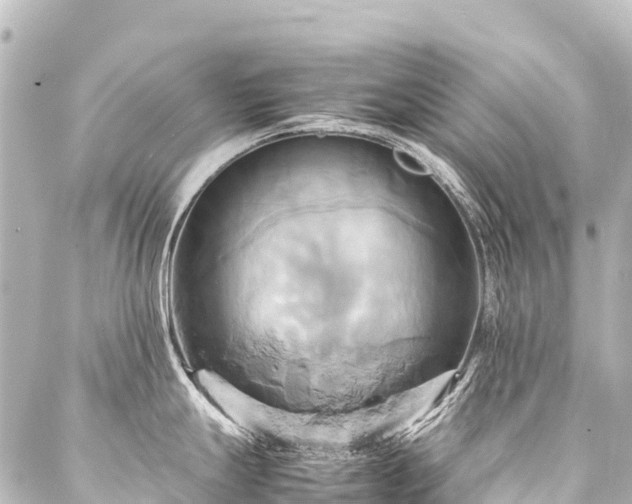 X0000088211247200705151335