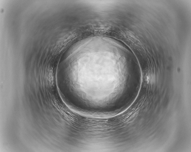 X0000088211252200705151334