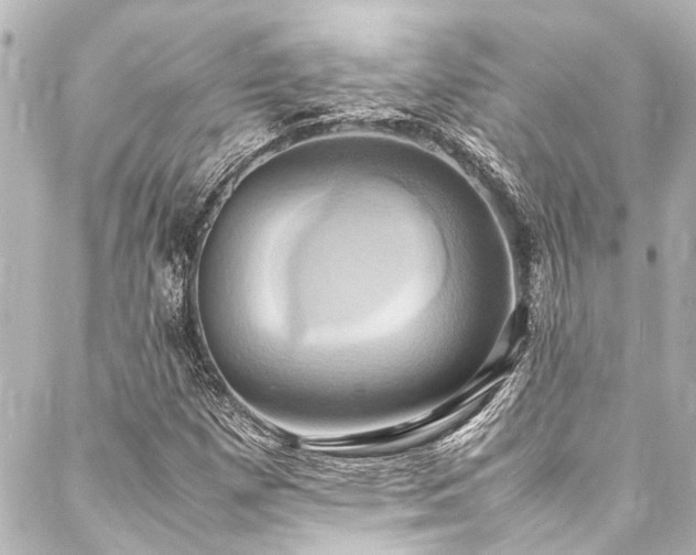 X0000088211257200705151334