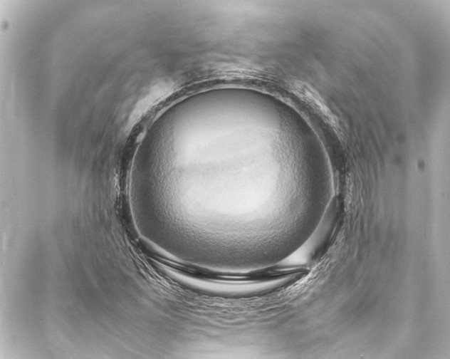 X0000088211261200705151334