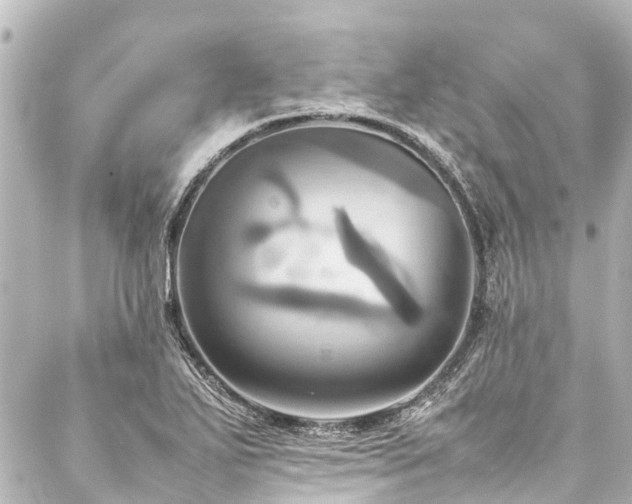 X0000088211271200705151333