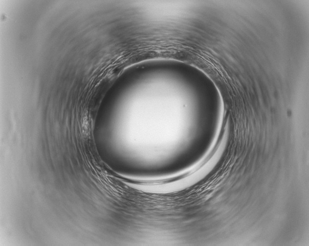 X0000088211298200705151332