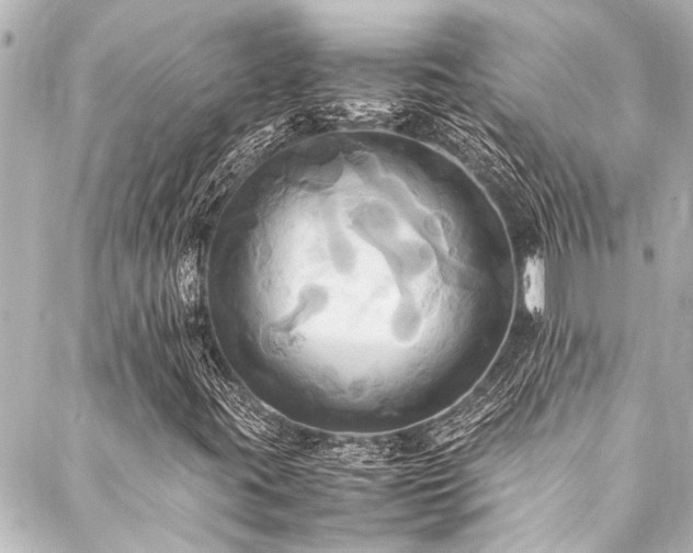X0000088211395200705151331