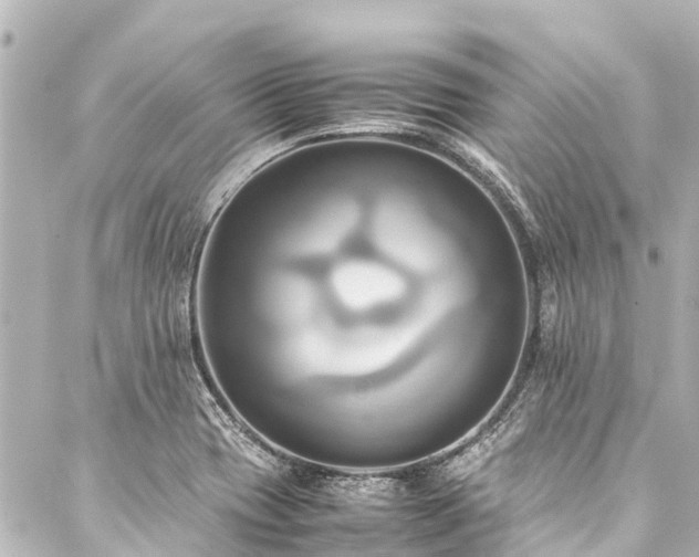 X0000088211417200705151331