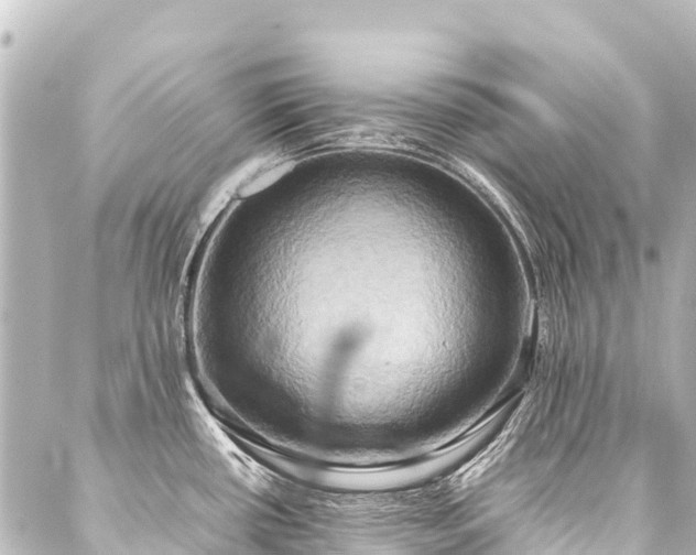 X0000088211434200705151331