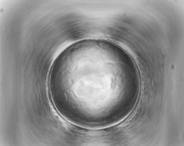 X0000088211440200705151331