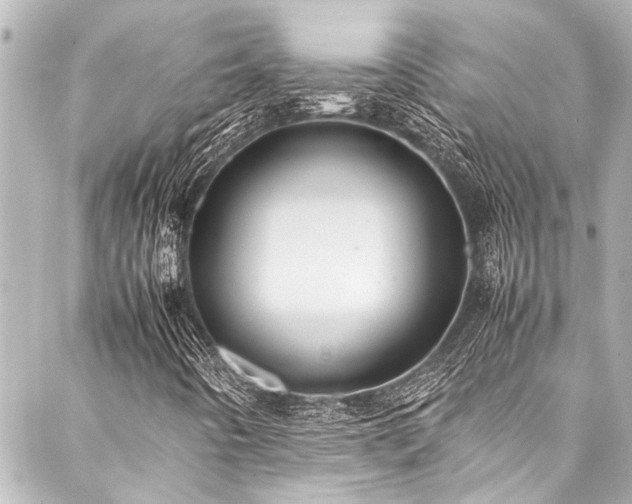 X0000088211442200705151331