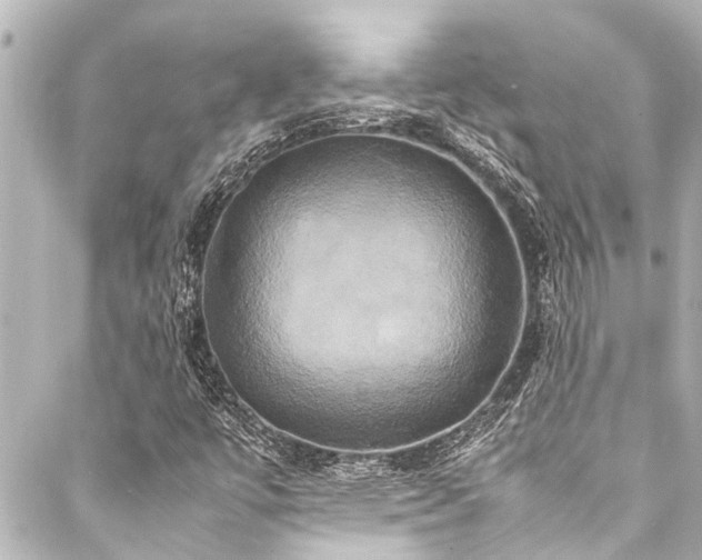 X0000088211447200705151330