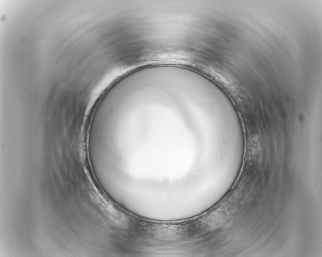 X0000088211470200705151330