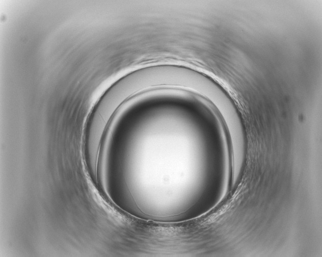 X0000088211518200705151330