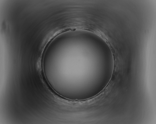 X0000088210002200705221753