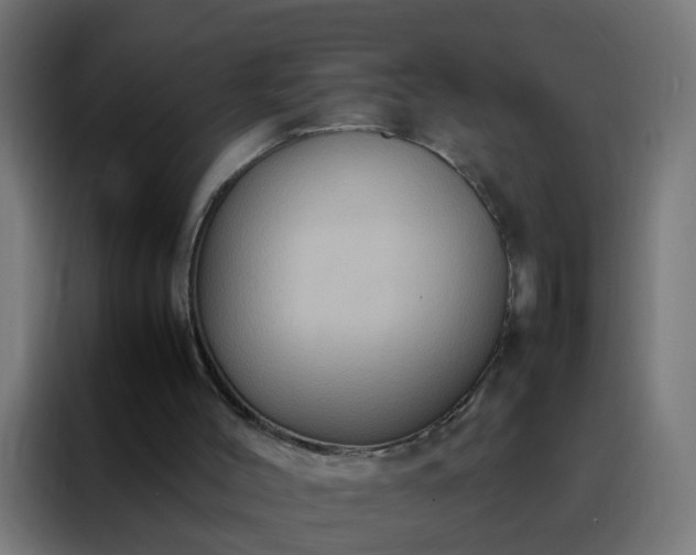 X0000088210004200705221753