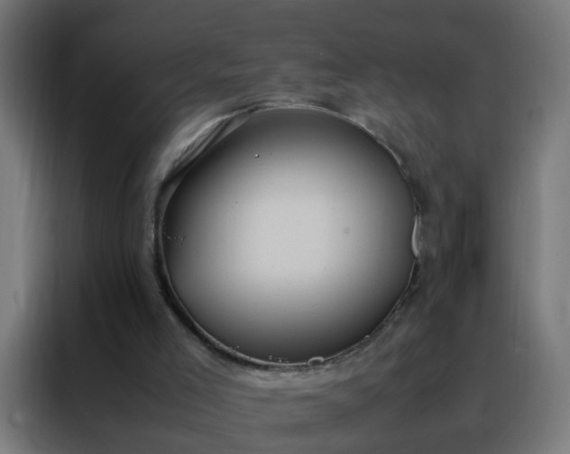 X0000088210005200705221753