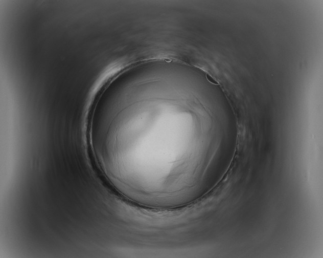 X0000088210006200705221753