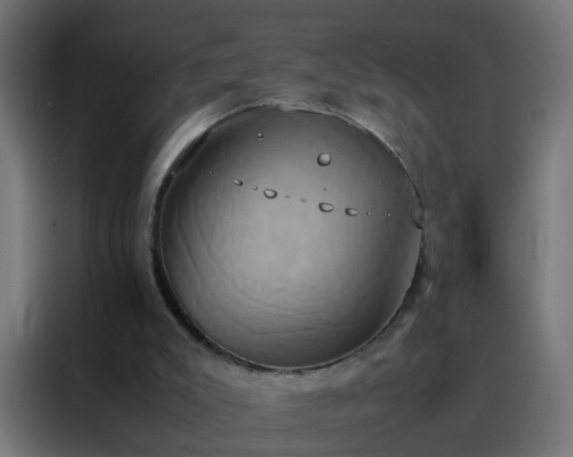X0000088210007200705221753