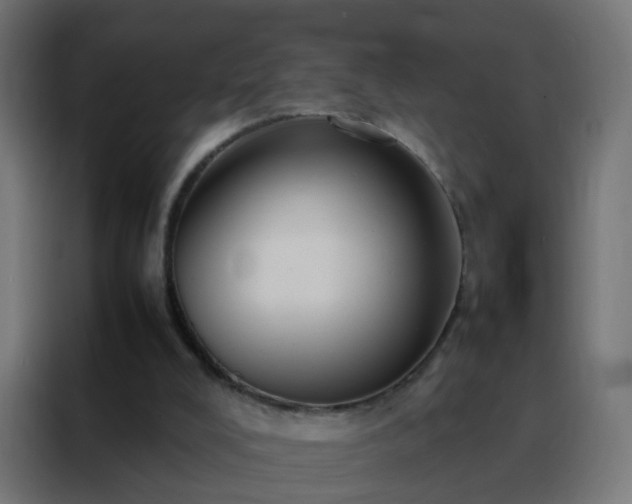 X0000088210008200705221753