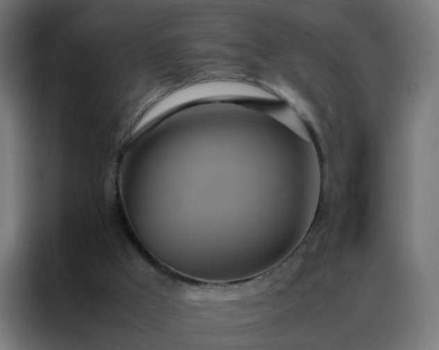 X0000088210009200705221753
