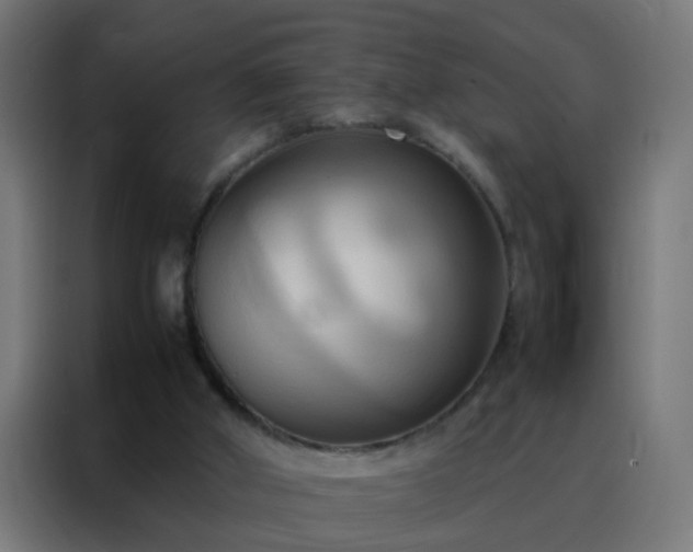 X0000088210010200705221753