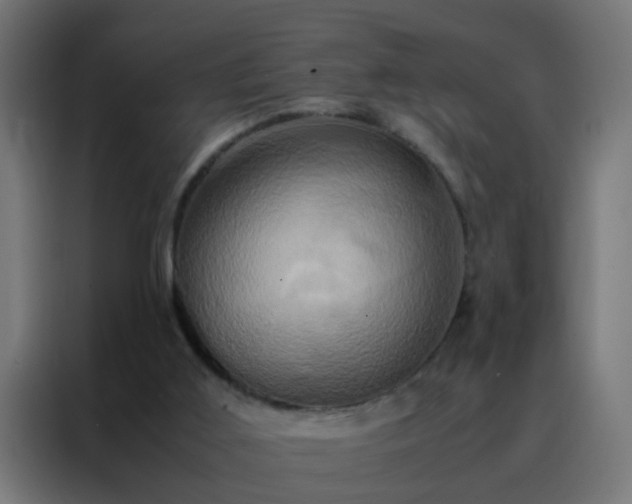 X0000088210011200705221753