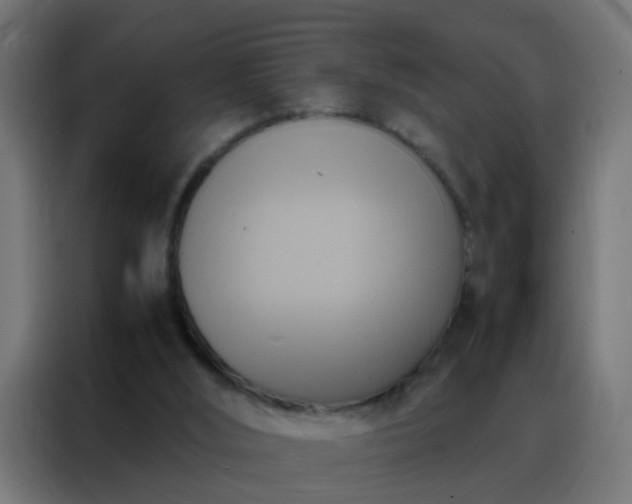 X0000088210012200705221753
