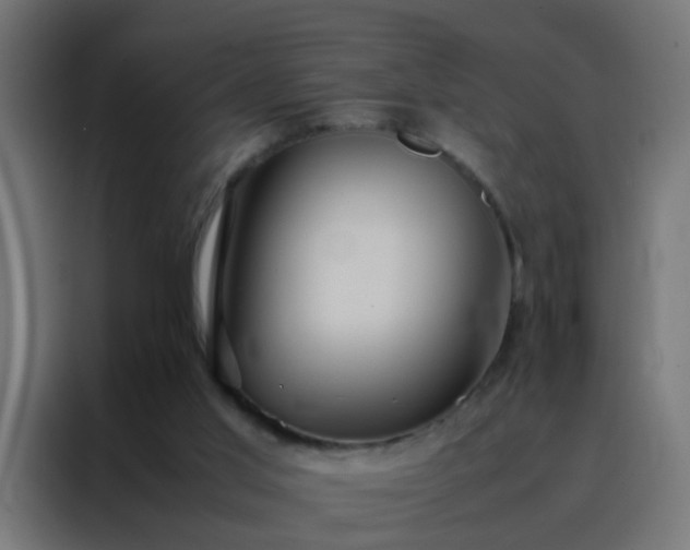 X0000088210013200705221753