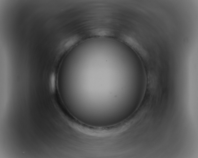 X0000088210014200705221753