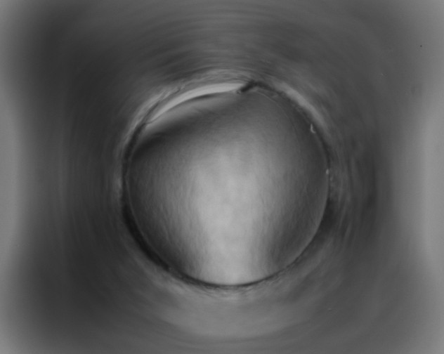 X0000088210015200705221753