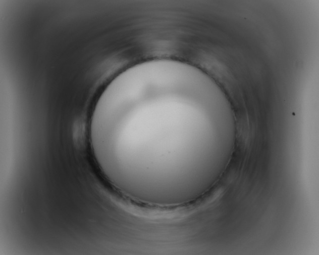 X0000088210016200705221753