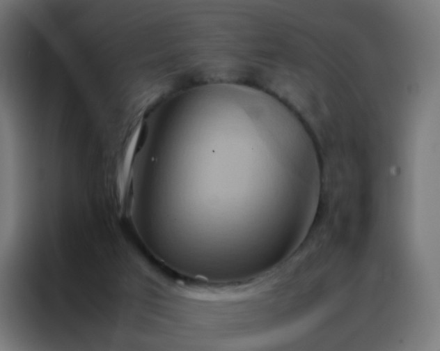 X0000088210017200705221752