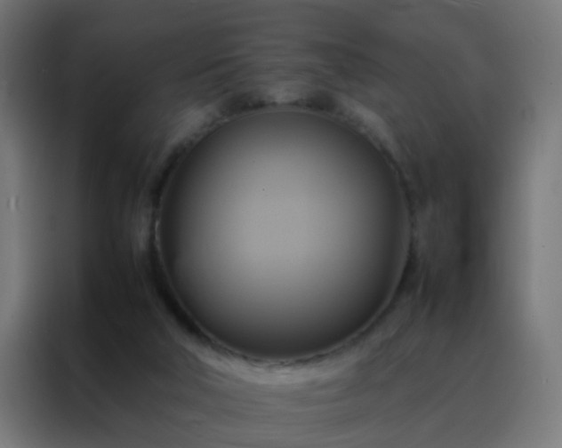 X0000088210018200705221752